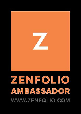 zenbassador